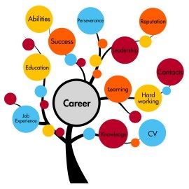 Career 40+